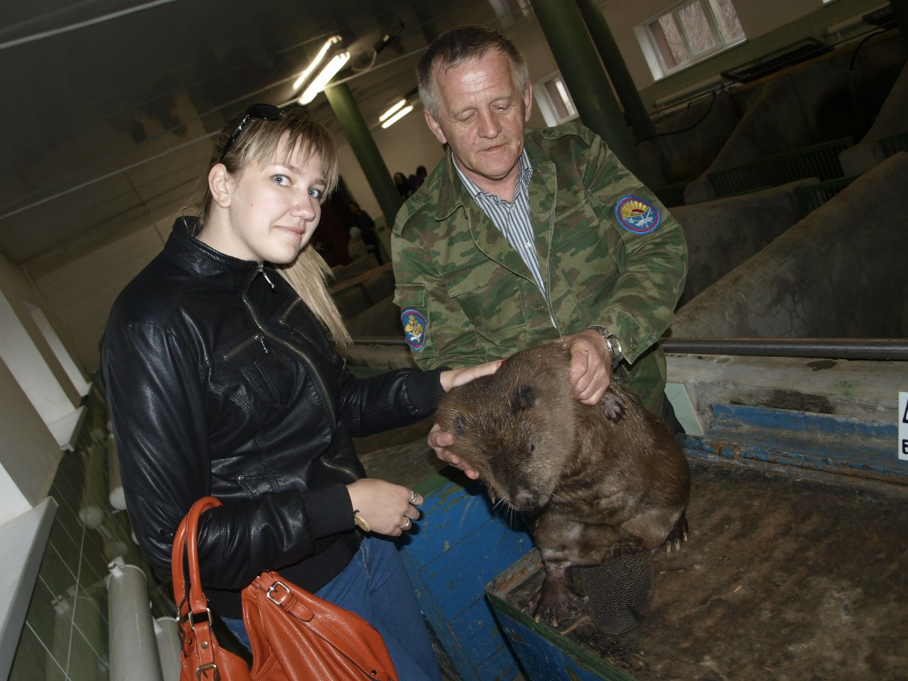 Музей пескова в воронежском заповеднике фото